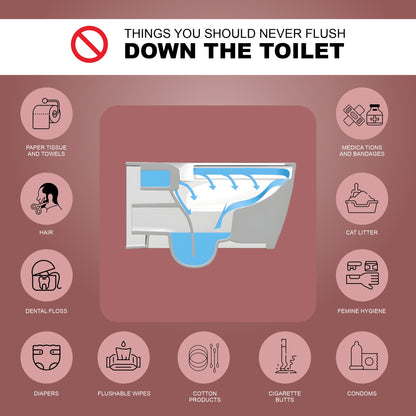Wall Hung Toilet (Semi Smart)