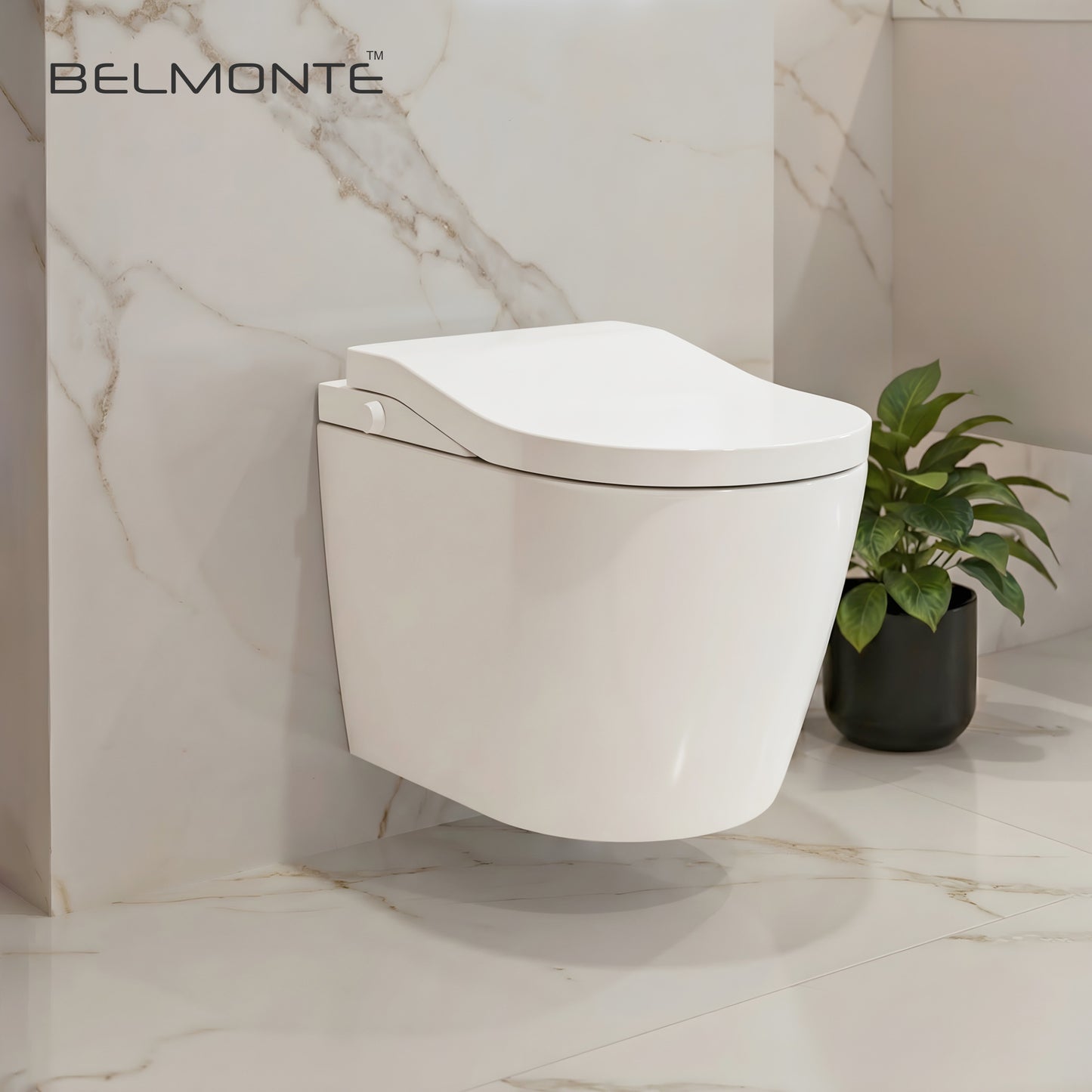 Wall Hung Toilet (Semi Smart)
