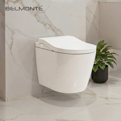 Wall Hung Toilet (Semi Smart)