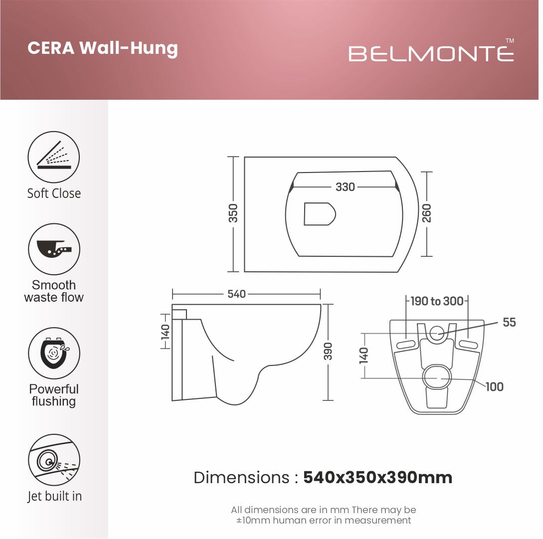 Wall Hung Toilet (Cera)