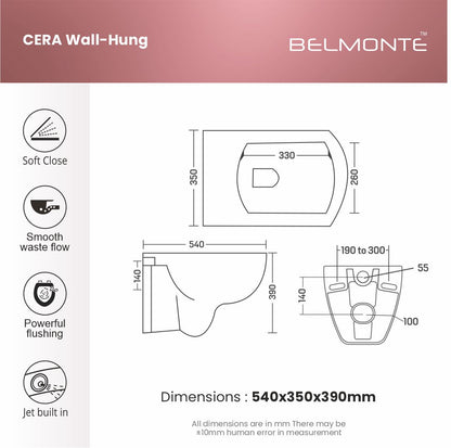 Wall Hung Toilet (Cera)