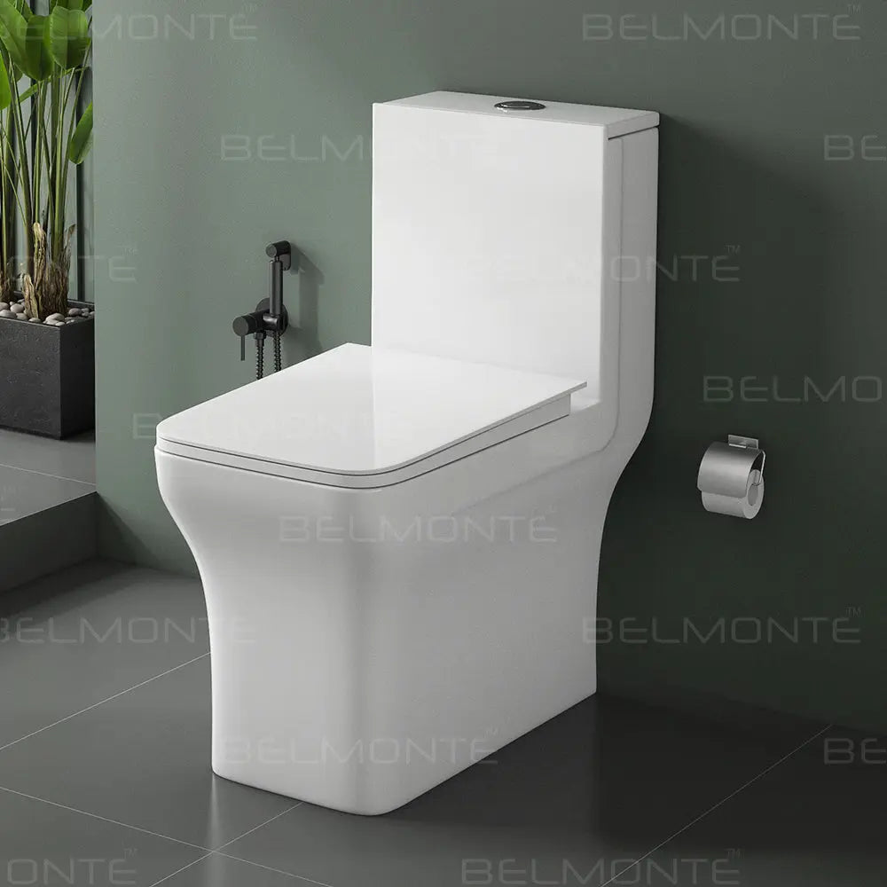 Ceramic One Piece Closet (Battle) Belmonte Bath LLP