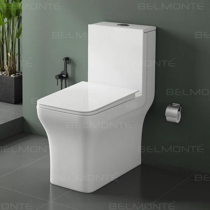 Ceramic One Piece Closet (Battle) Belmonte Bath LLP