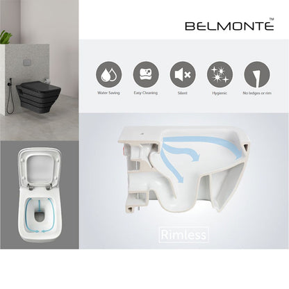 Designer Wall Hung Water Closet (Neon WH 05)