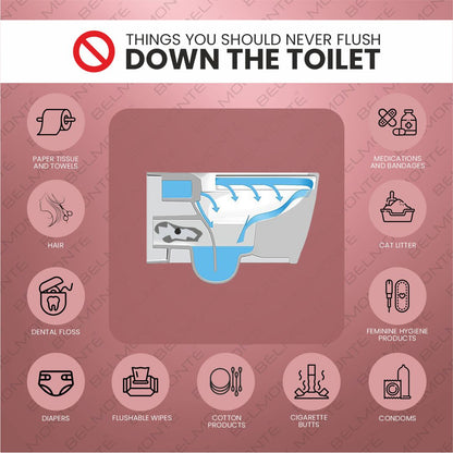 Designer Wall Hung Water Closet (Neon WH 37)