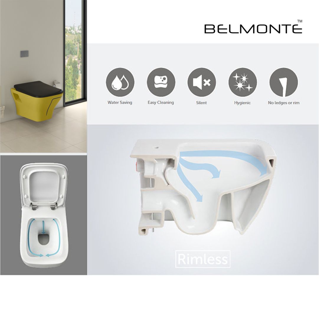 Designer Wall Hung Water Closet (Neon WH 43)