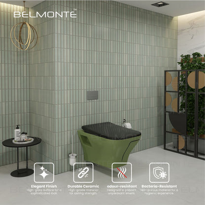 Designer Wall Hung Water Closet (Neon WH 50)