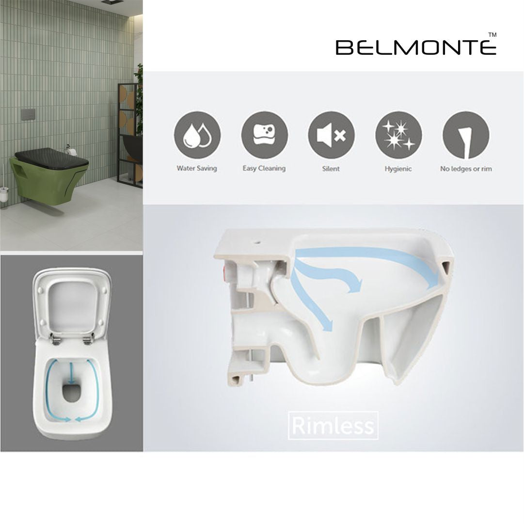 Designer Wall Hung Water Closet (Neon WH 50)