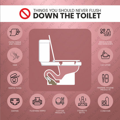 Designer Western Toilet (Opal OP 24)