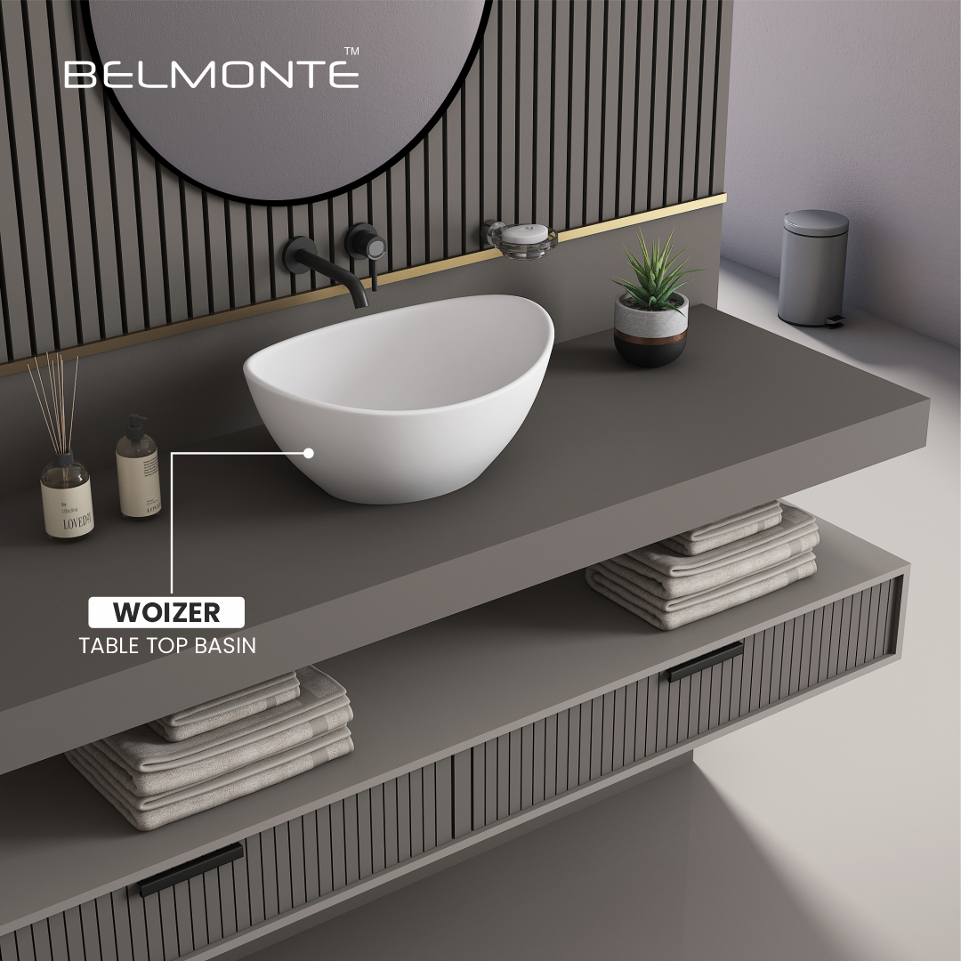 Counter Top Basin (Woizer)