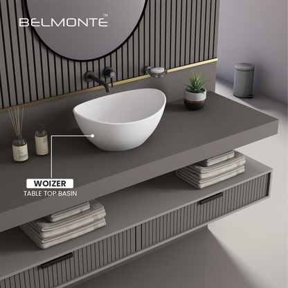 Counter Top Basin (Woizer)