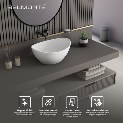Counter Top Basin (Woizer)
