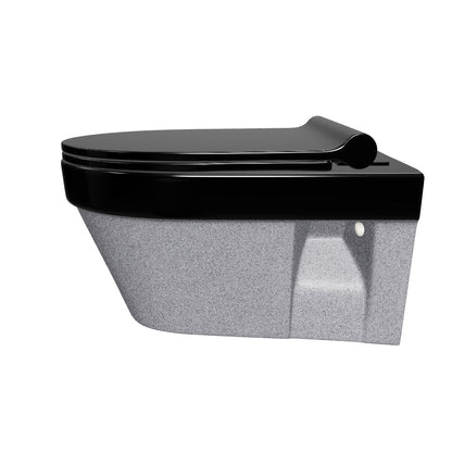 Designer Wall Hung Water Closet (Retro W/H RB01)